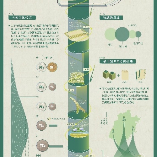 竹纸之韵——福建竹纸技艺信息可视化设计